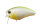 Pearl/Chart Back P64