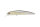 NEW Tasty Shad P23
