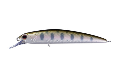 Yamame YM18