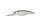 Blueback Herring OL21