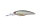 Tasty Shad P23