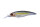 Tasty Shad P23