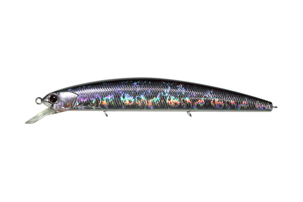 Crystal Blue Shiner H-09