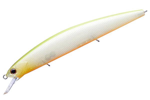 P64