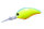 Chartreuse/Blue Back P07