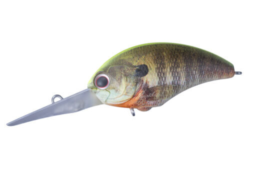 New Back Real Gill RP07