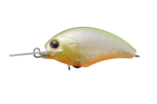 Pearl/Chart Back P-64