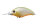 Pearl/Chart Back P-64