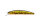 Crystal Gold H04