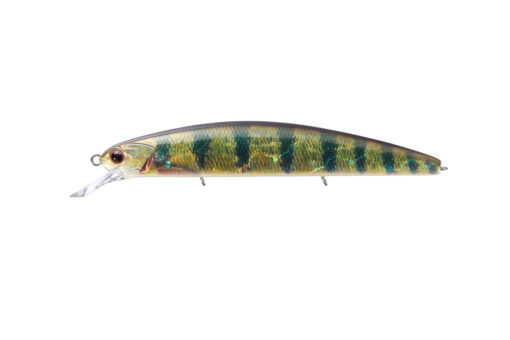 Real Perch RPO69