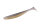 Golden Shiner TW103
