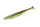 Green Pumpkin/Chart TW107