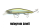 Hologram Smelt