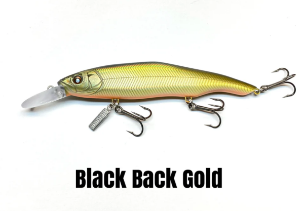 Black Back Gold