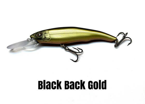 Black Back Gold