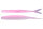 Pink Back Shiner TW197