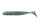 Green sardine TW172