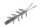 KAWASHIMA SMOKE SHRIMP