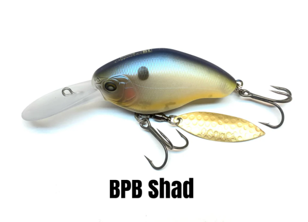 BPB SHAD