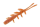 ROCKFISH | ORANGE GOLD/GLOW BELLY