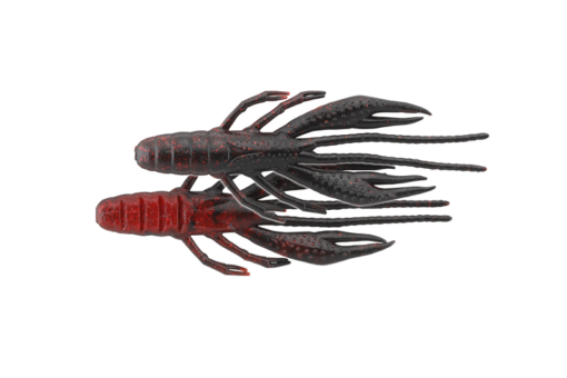 RED BELLY DEVIL