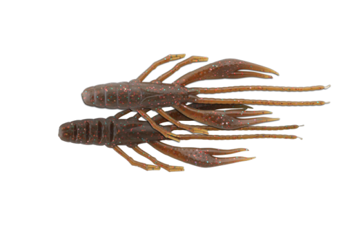RIPRAP CRAB