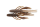 RIPRAP CRAB