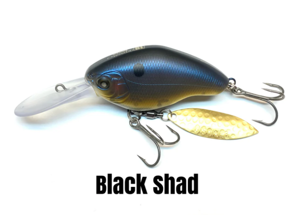 Black Shad
