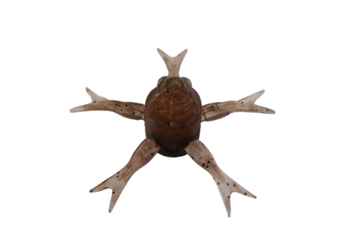 GASAGASA TENAGAEBI