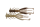 KUWASE GORI
