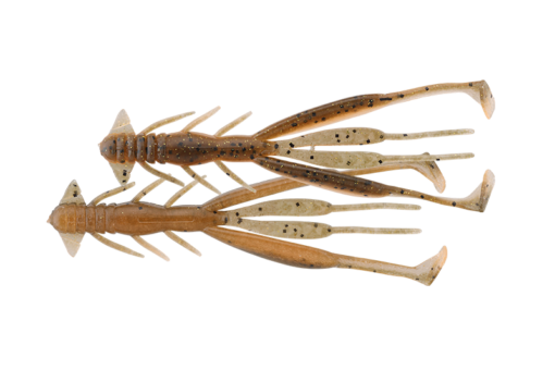 SPAWN GILL