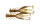TENAGA CINNAMON