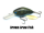 Brown Craw Fish