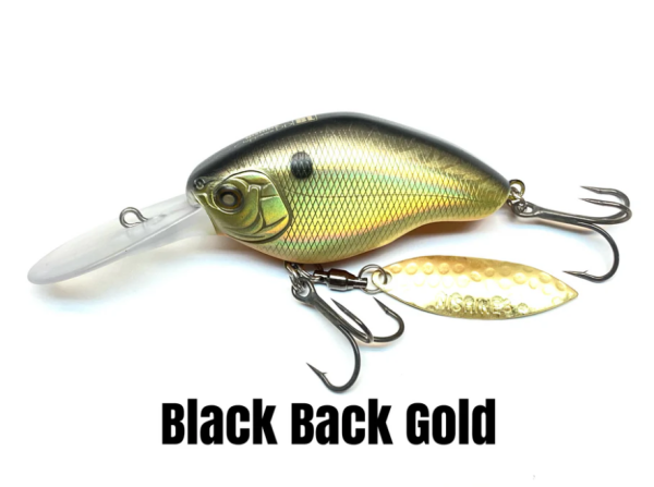Black Back Gold