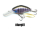 Blue Gill