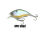BPB SHAD