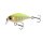 Fluorescent Yellow Tiger