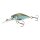 Clear Roach