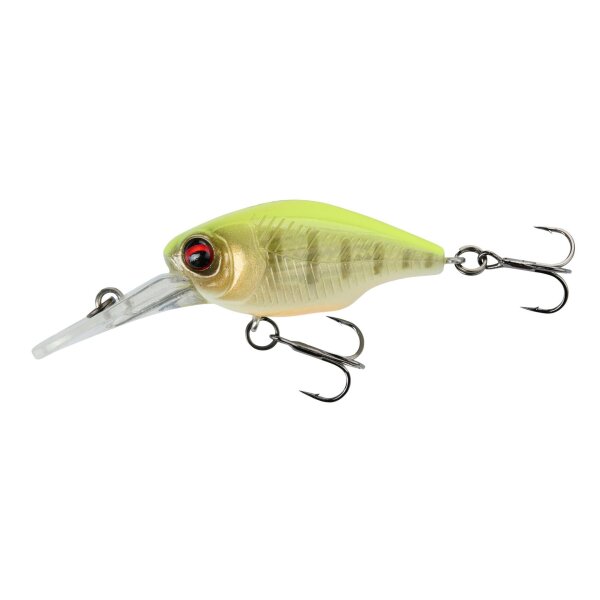 Fluorescent Yellow Tiger