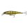 F Perch