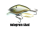 Hologram Shad
