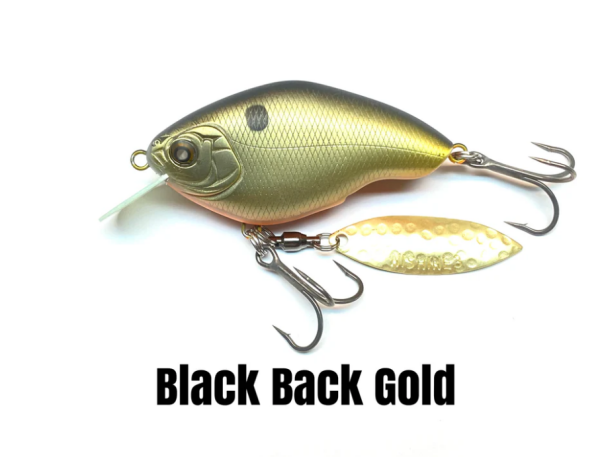 Black Back Gold