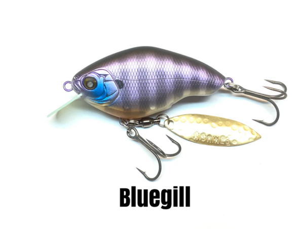 Blue Gill