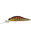 Komochi Gill