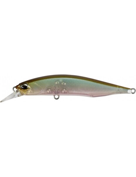 Ghost Minnow