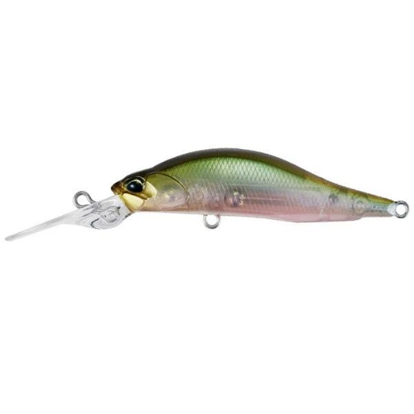 Ghost Minnow