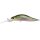 Ghost Minnow