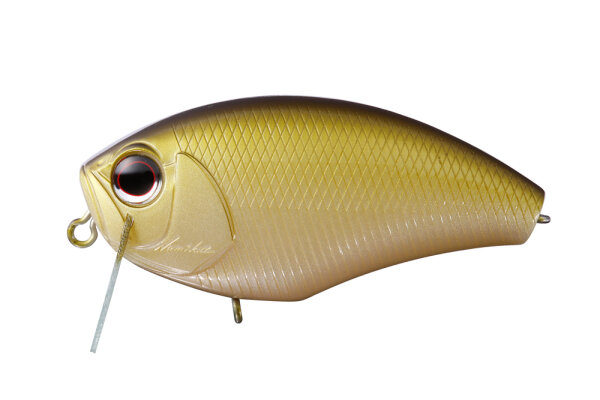 Ghost Minnow G01
